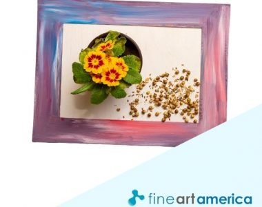 Fine Art America review